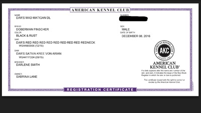 Full AKC Registration