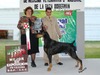 INT CH INAQUI DE BLACK SHADOW