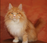 Shonycoon's Winehouse. d03 22